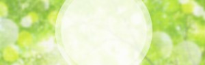 top_bg001